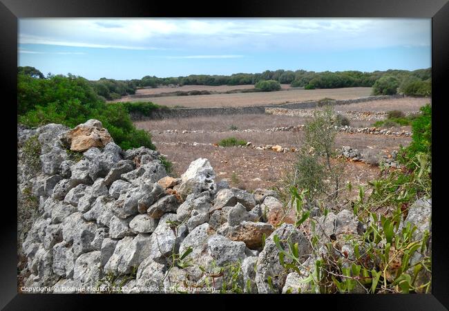 Picturesque  Field and Stone Wall Menorca Framed Print by Deanne Flouton