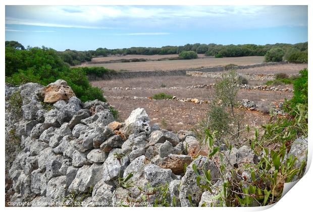 Picturesque  Field and Stone Wall Menorca Print by Deanne Flouton