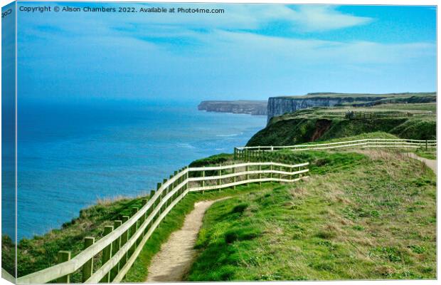 Flamborough Heritage Coast Cliffs Canvas Print by Alison Chambers