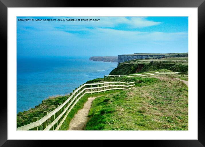 Flamborough Heritage Coast Cliffs Framed Mounted Print by Alison Chambers