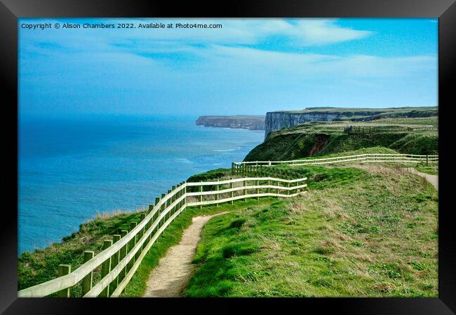 Flamborough Heritage Coast Cliffs Framed Print by Alison Chambers