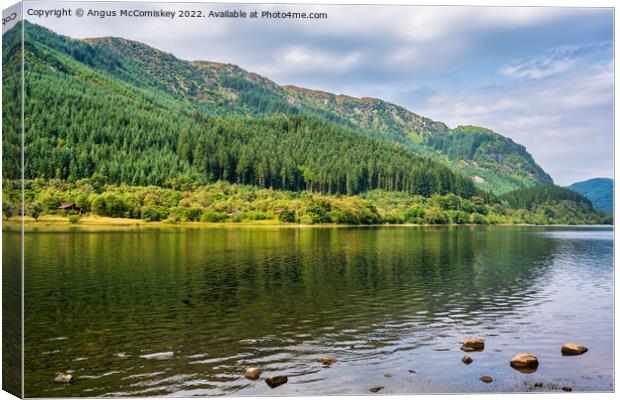 Pine forest Loch Lubnaig Trossachs Canvas Print by Angus McComiskey