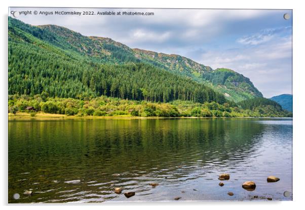 Pine forest Loch Lubnaig Trossachs Acrylic by Angus McComiskey