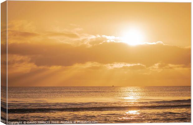 Montrose Bay Sunrise Splashes Golden Reflections Canvas Print by DAVID FRANCIS