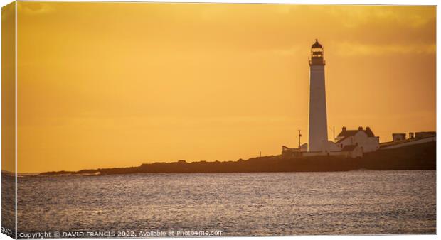 Golden Sunrise over Scurdie Ness Lighthouse Canvas Print by DAVID FRANCIS