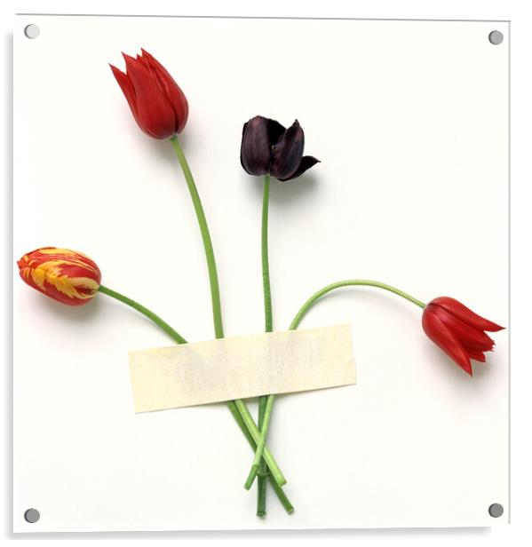 Tulips Acrylic by Bernard Jaubert