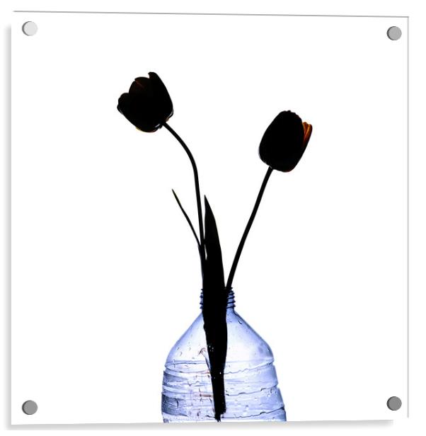 Tulips in a plastic bottle Acrylic by Bernard Jaubert