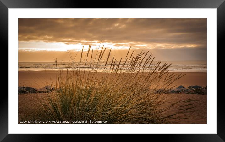 Golden Sunrise Over Montrose Bay Framed Mounted Print by DAVID FRANCIS