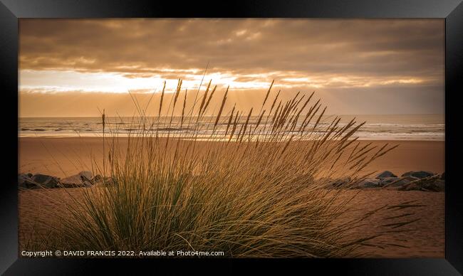 Golden Sunrise Over Montrose Bay Framed Print by DAVID FRANCIS