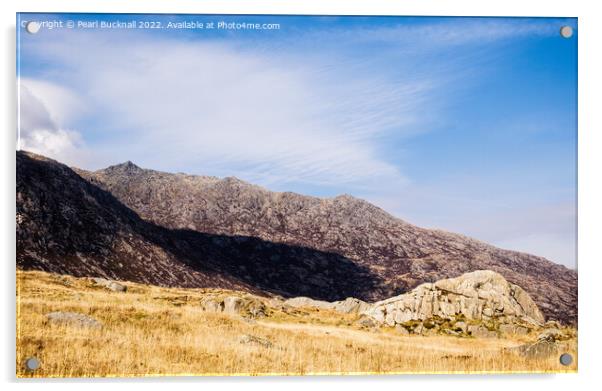 Snowdonia Mountain Glyder Fach Wales Acrylic by Pearl Bucknall