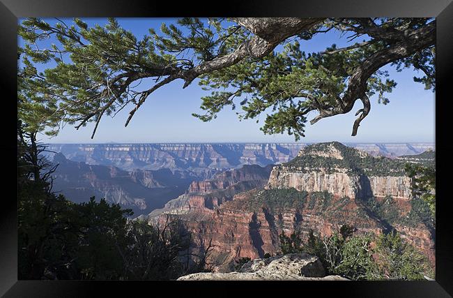 Grand Canyon from Bright Angel Trail Framed Print by Gary Eason