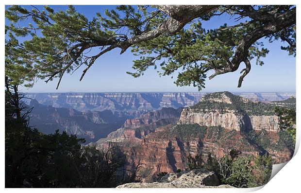 Grand Canyon from Bright Angel Trail Print by Gary Eason