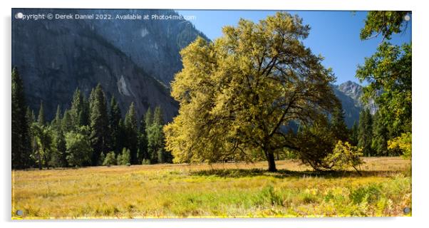 Yosemite Valley, California Acrylic by Derek Daniel
