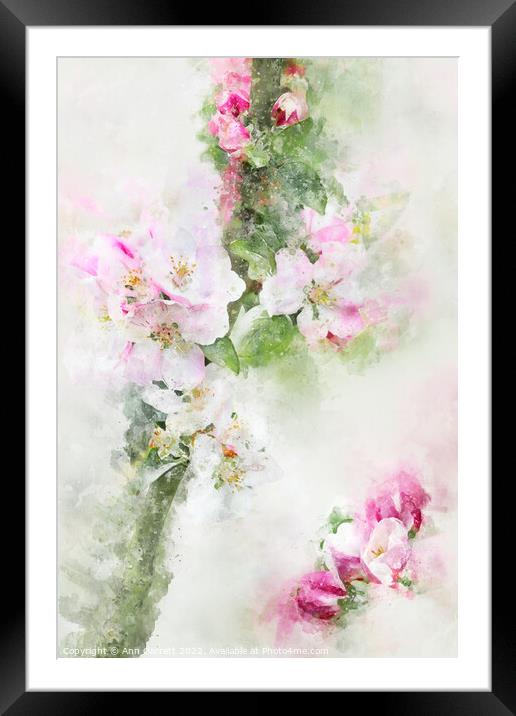 Apple Blossom Art Framed Mounted Print by Ann Garrett
