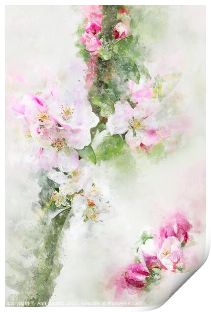 Apple Blossom Art Print by Ann Garrett