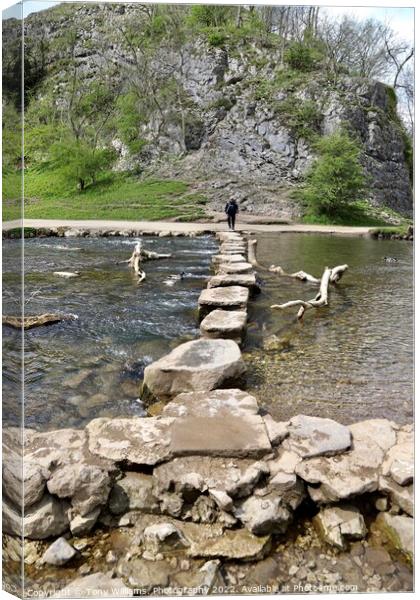 Stepping stones Dovedale. Canvas Print by Tony Williams. Photography email tony-williams53@sky.com