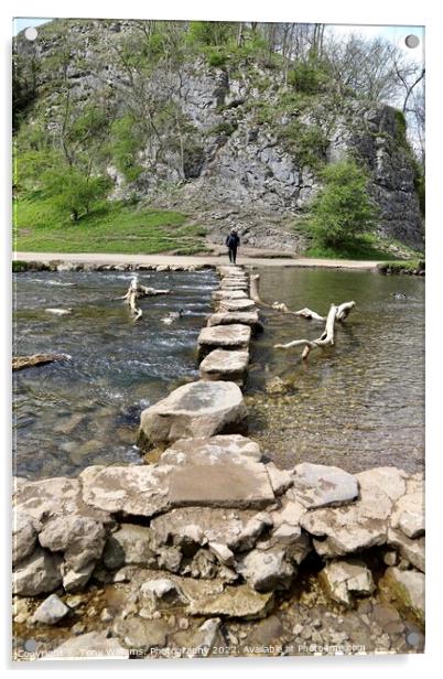 Stepping stones Dovedale. Acrylic by Tony Williams. Photography email tony-williams53@sky.com