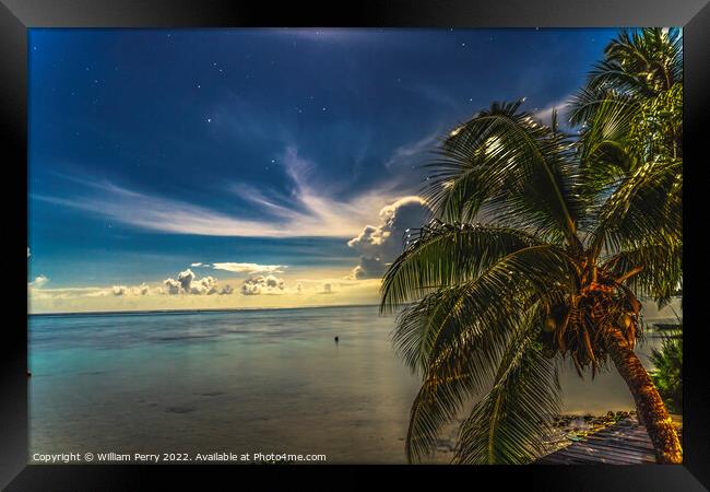 Moonlight Stars Clouds Night  Coconut Palm Trees Water Moorea Ta Framed Print by William Perry