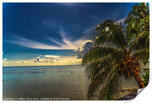 Moonlight Stars Clouds Night  Coconut Palm Trees Water Moorea Ta Print by William Perry