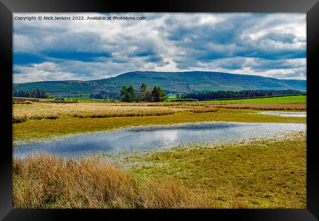 Fan Frynych from Pond on Mynydd Illtud Common  Framed Print by Nick Jenkins