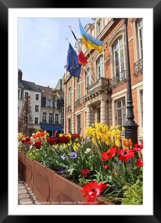 Town Hall, Boulogne-sur-Mer, France Framed Mounted Print by Imladris 