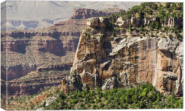 Rock weathering, Grand Canyon Canvas Print by Gary Eason