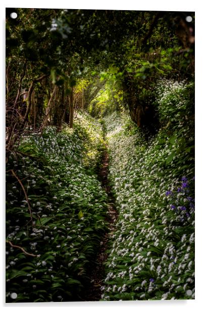  Wild Garlic footpath Townlake, Devon, England. Acrylic by Maggie McCall