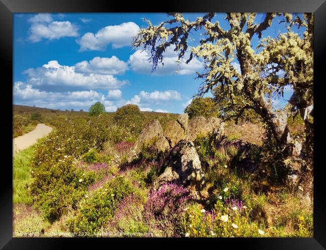 Enchanting Wildflower Path Framed Print by Roger Mechan