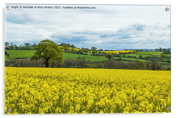 Rape Field near Brecon Powys  Acrylic by Nick Jenkins