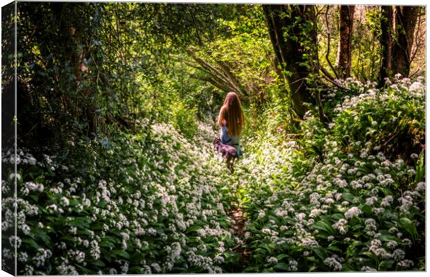 Dog walker, Wild Garlic footpath Townlake, Devon,  Canvas Print by Maggie McCall