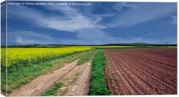 spring colors   Canvas Print by Ferenc Verebélyi