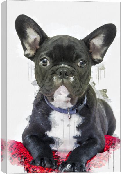 French Bulldog Canvas Print by Picture Wizard
