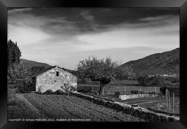 Old stone farm barn in spring vineyard. Europe. Framed Print by Sergey Fedoskin