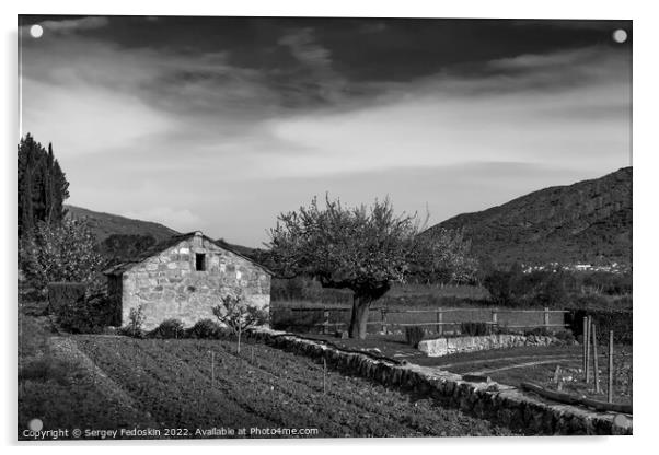 Old stone farm barn in spring vineyard. Europe. Acrylic by Sergey Fedoskin
