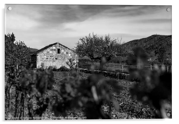 Old stone farm barn in spring vineyard. Europe. Acrylic by Sergey Fedoskin