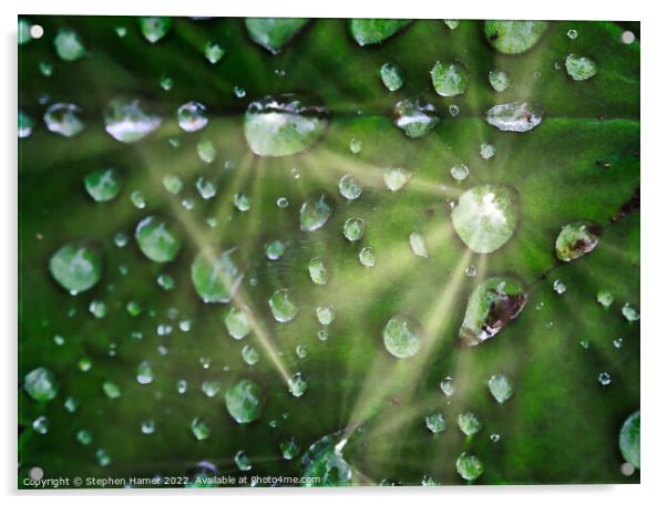 Glittering Gems of Rain Acrylic by Stephen Hamer