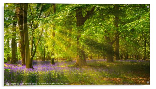 Enchanting Bluebells in a Lush Woodland Acrylic by Cliff Kinch