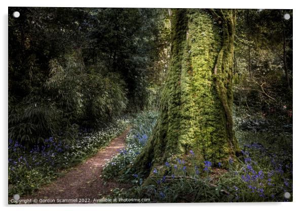The magical mysterious Penjerrick Gardens in Cornw Acrylic by Gordon Scammell
