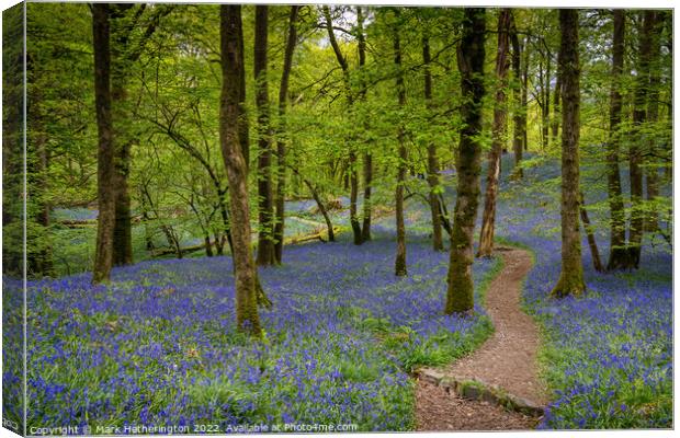 Fishgarths Woods Bluebells, The Lake District Canvas Print by Mark Hetherington