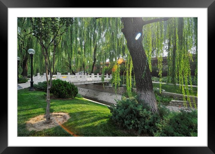 The park in Beijing Framed Mounted Print by Stan Lihai