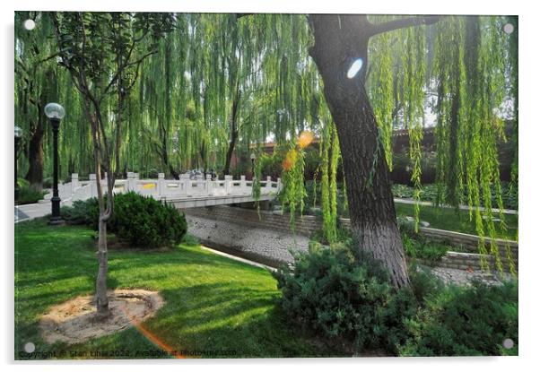 The park in Beijing Acrylic by Stan Lihai