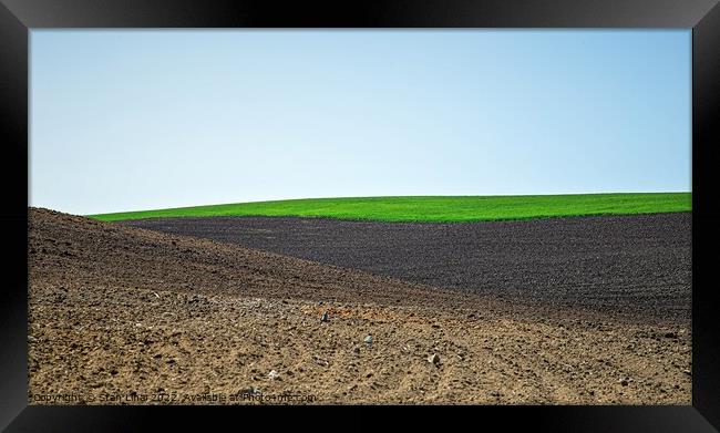 Beautiful black earth fields in Ukraine Framed Print by Stan Lihai