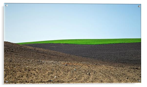 Beautiful black earth fields in Ukraine Acrylic by Stan Lihai