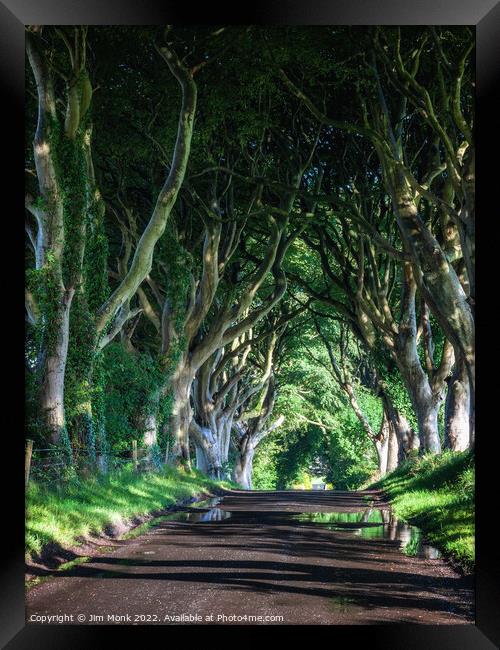 The Dark Hedges, Northern Ireland Framed Print by Jim Monk