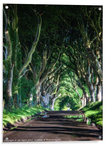 The Dark Hedges, Northern Ireland Acrylic by Jim Monk