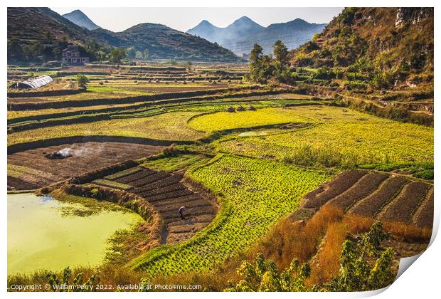 Chinese Peasant Working Fields Guizhou China Print by William Perry