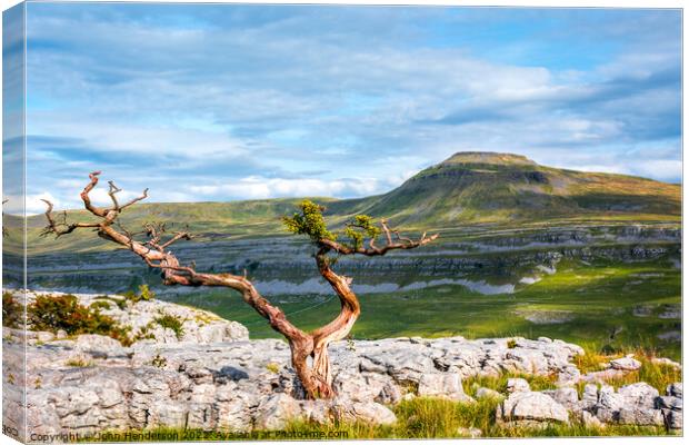 Majestic Yorkshire Landscape Canvas Print by John Henderson