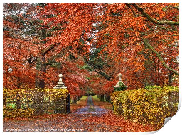 Beech Tree Gates In Autumn Print by OBT imaging