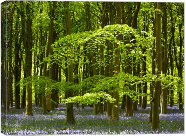 Bluebell Woodland Canvas Print by Simon Johnson