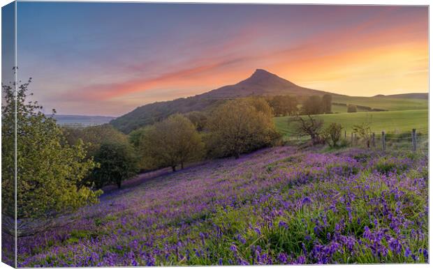 Bluebell field at sunrise Canvas Print by Kevin Winter